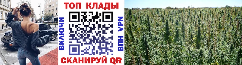 Наркошоп купить АМФЕТАМИН  Меф  A-PVP  Вейп ТГК  Гашиш  Cocaine  Бошки Шишки  Киреевск