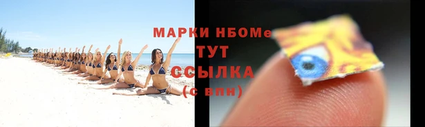 дмт Магас
