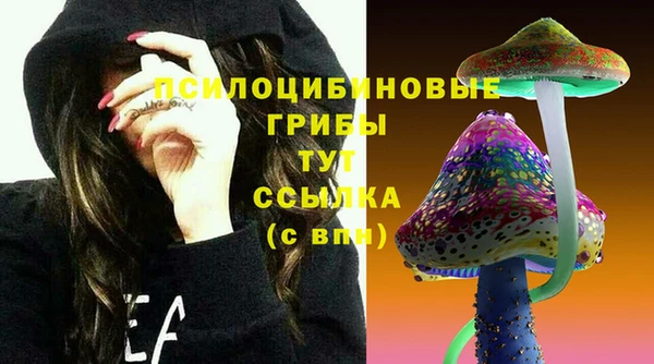 дмт Магас