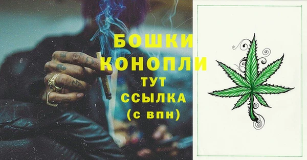 мдпв Ижевск
